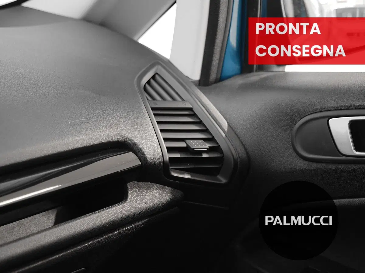 Ford EcoSport usata a Prato (12)