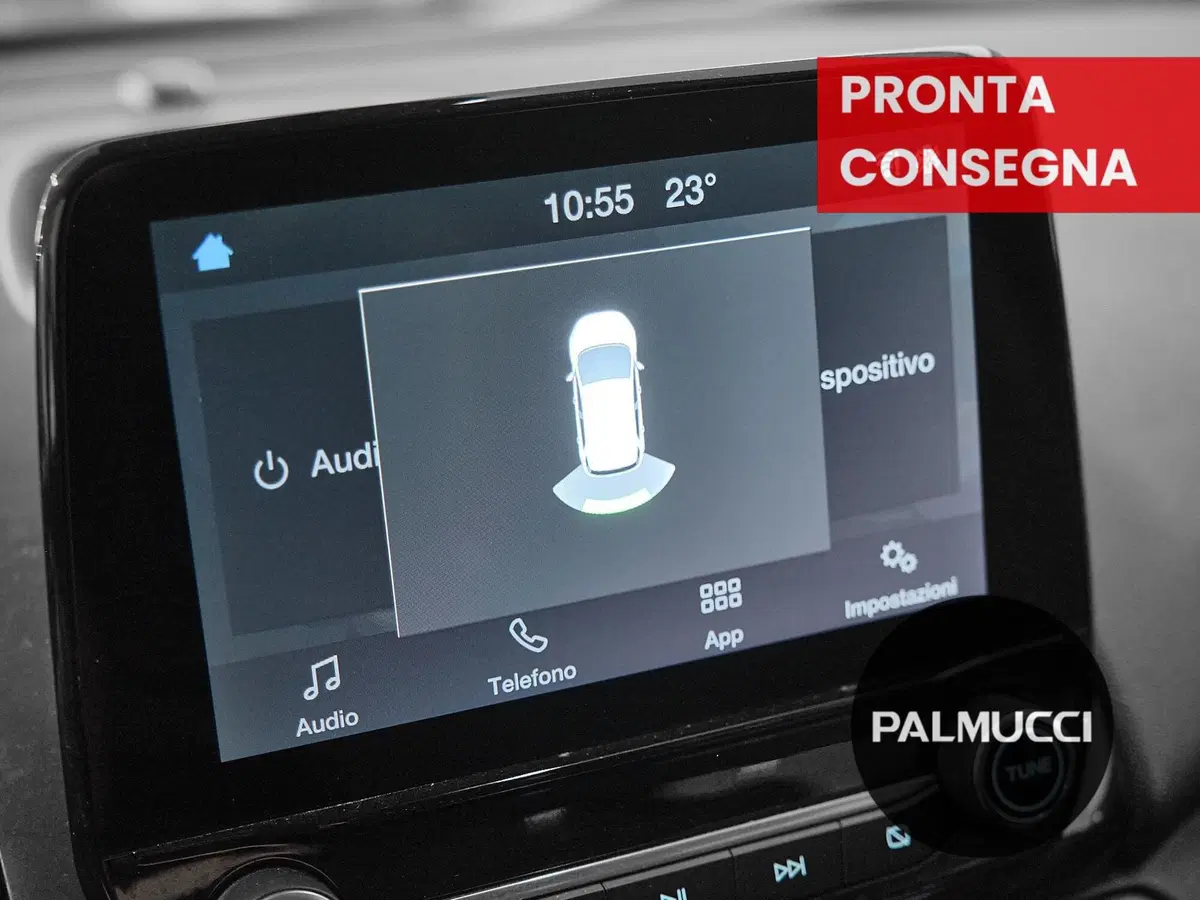 Ford EcoSport usata a Prato (15)
