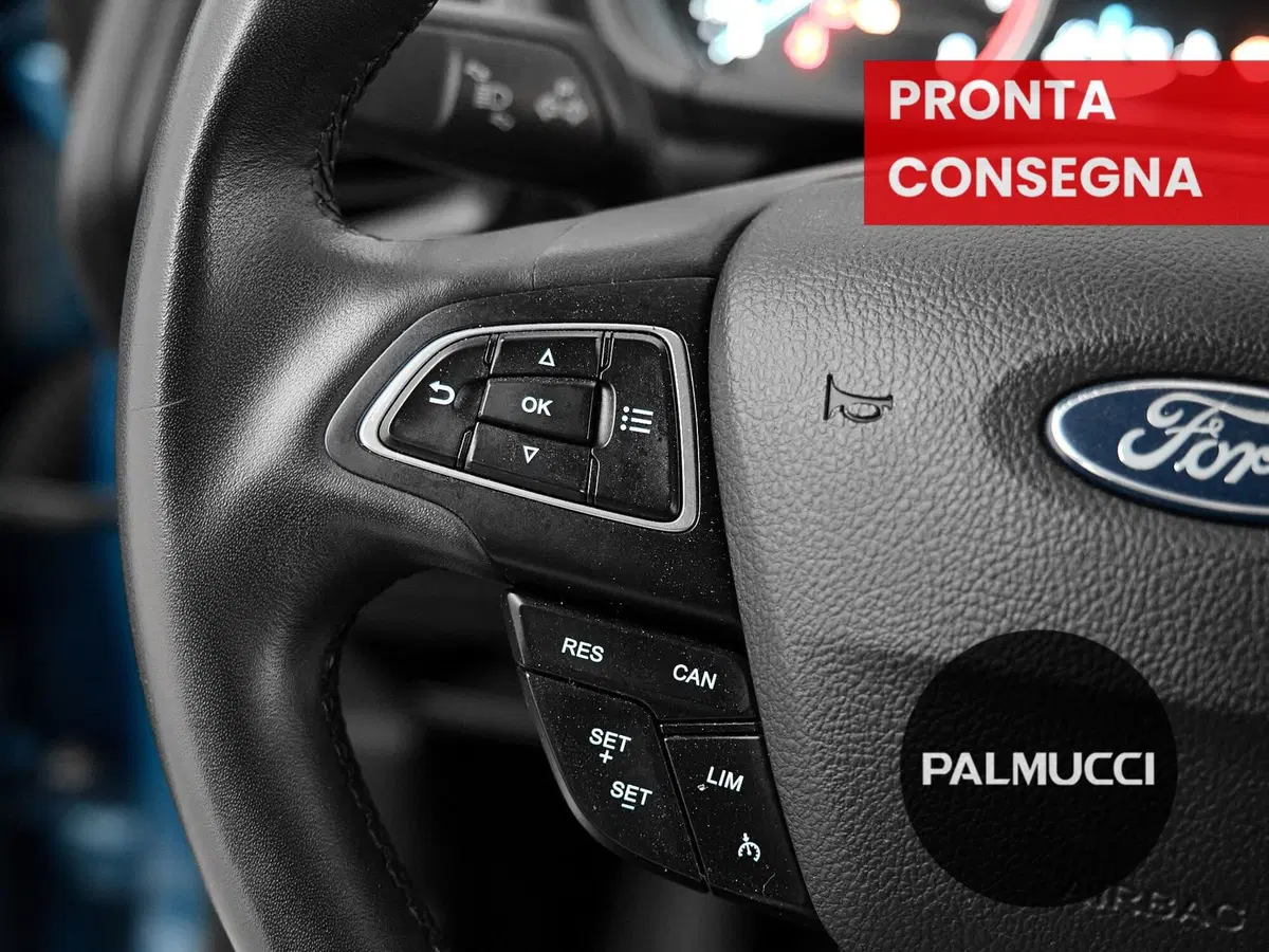 Ford EcoSport usata a Prato (20)