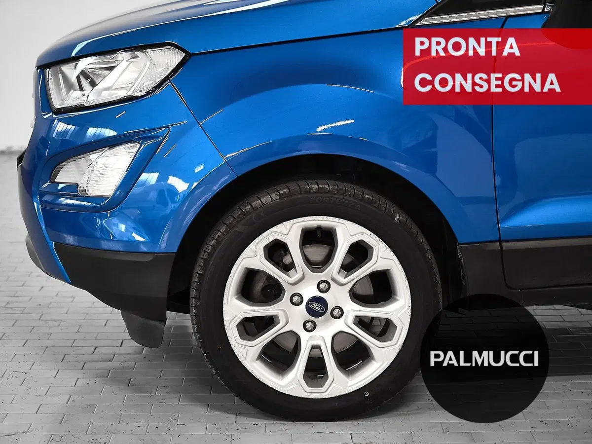 Ford EcoSport usata a Prato (8)