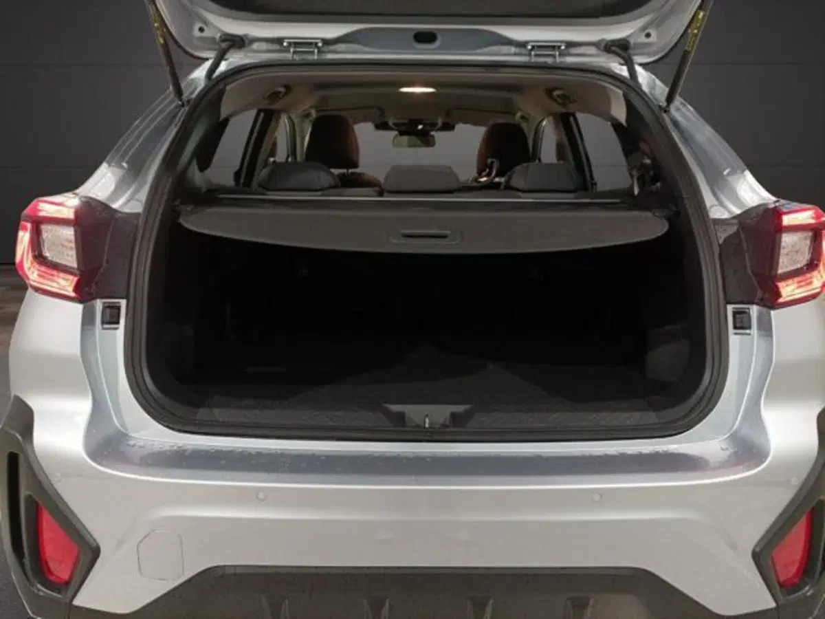 Subaru Crosstrek usata a Milano (16)