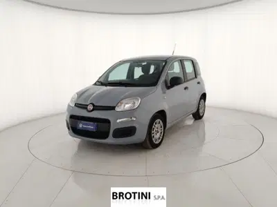 Fiat Panda Cross Cross 1.0 FireFly S&amp;S Hybrid del 2022 usata a Massa