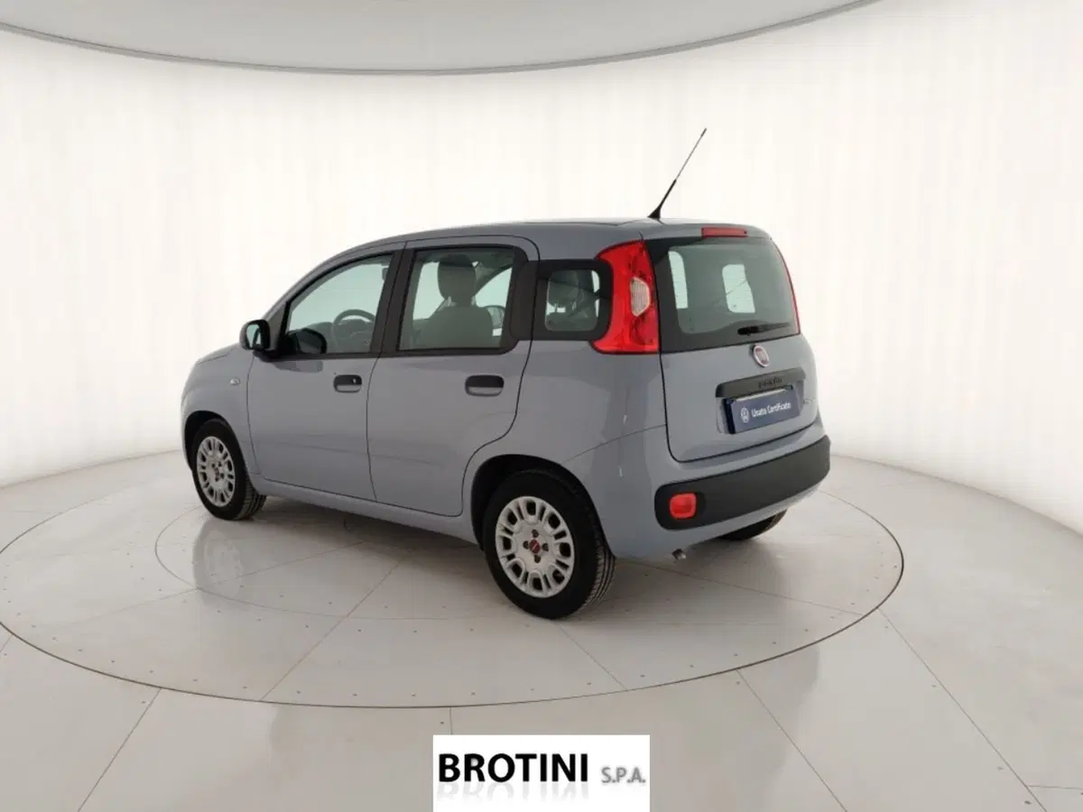 Fiat Panda Cross usata a Massa-Carrara (2)