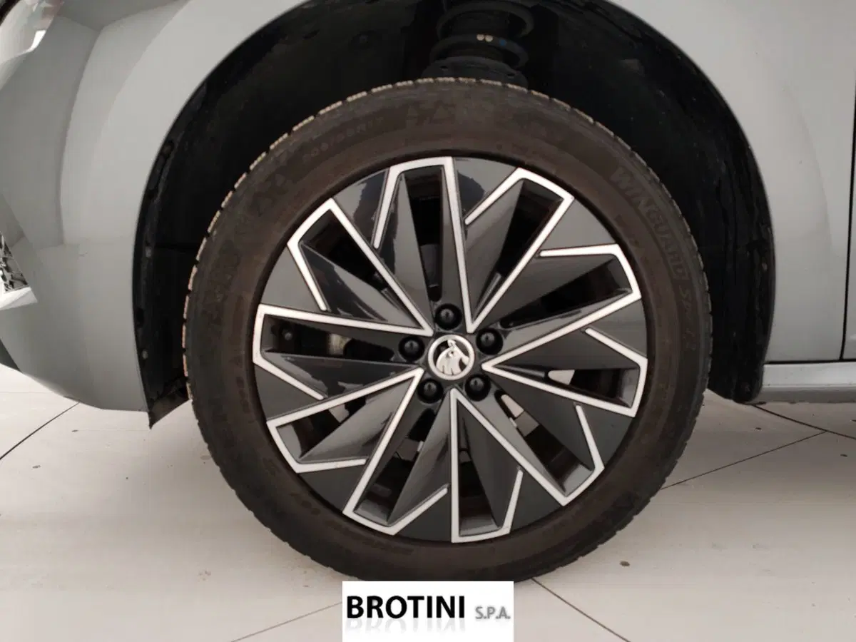 Skoda Kamiq usata a Massa-Carrara (6)