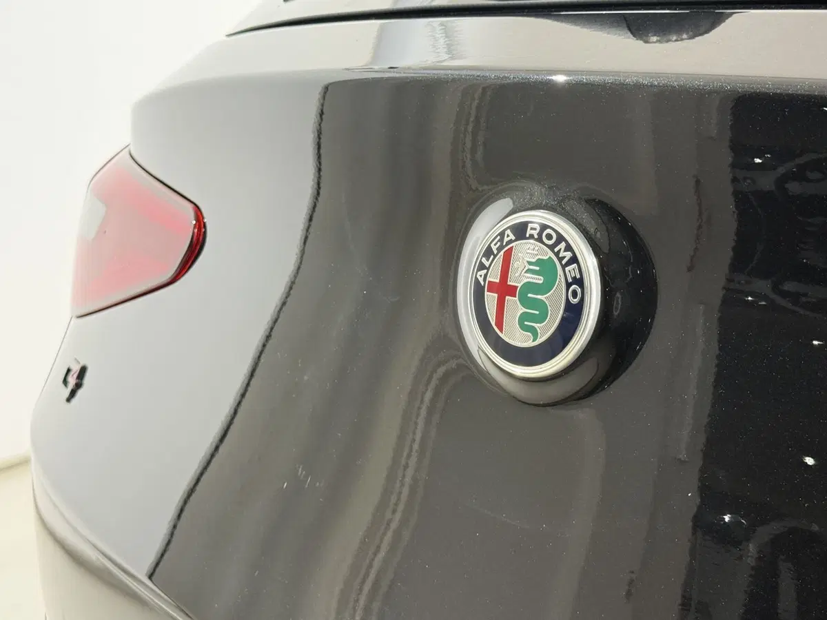 Alfa Romeo Stelvio usata a Perugia (11)
