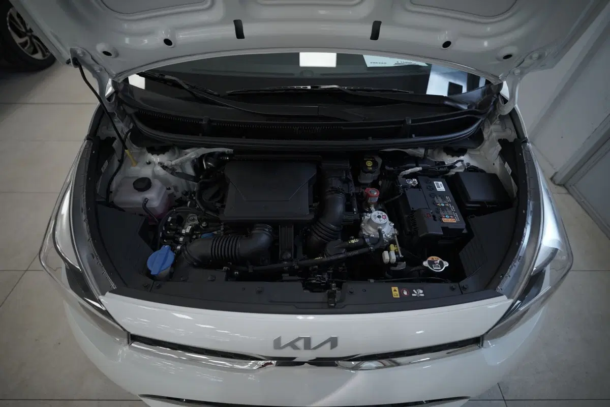 Kia Picanto usata a Torino (12)