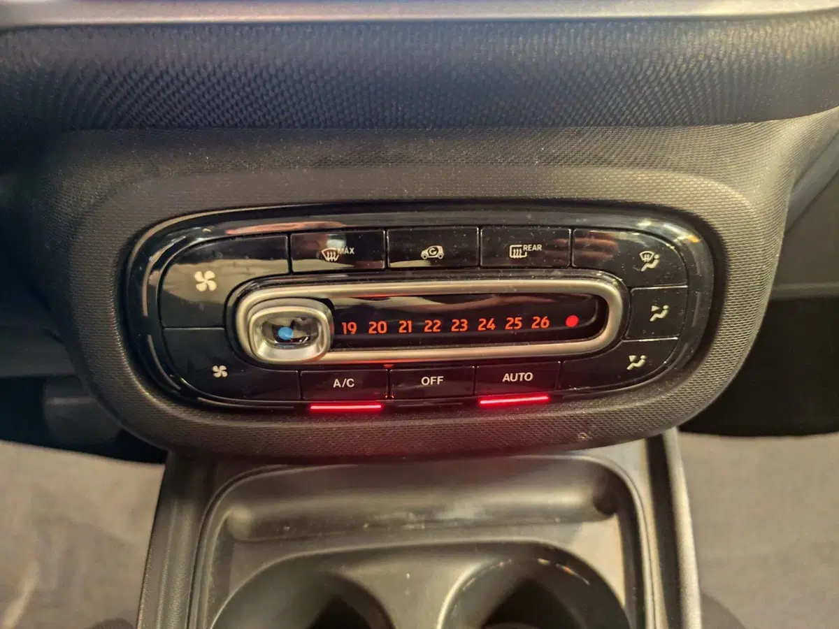 smart forfour usata a Milano (13)
