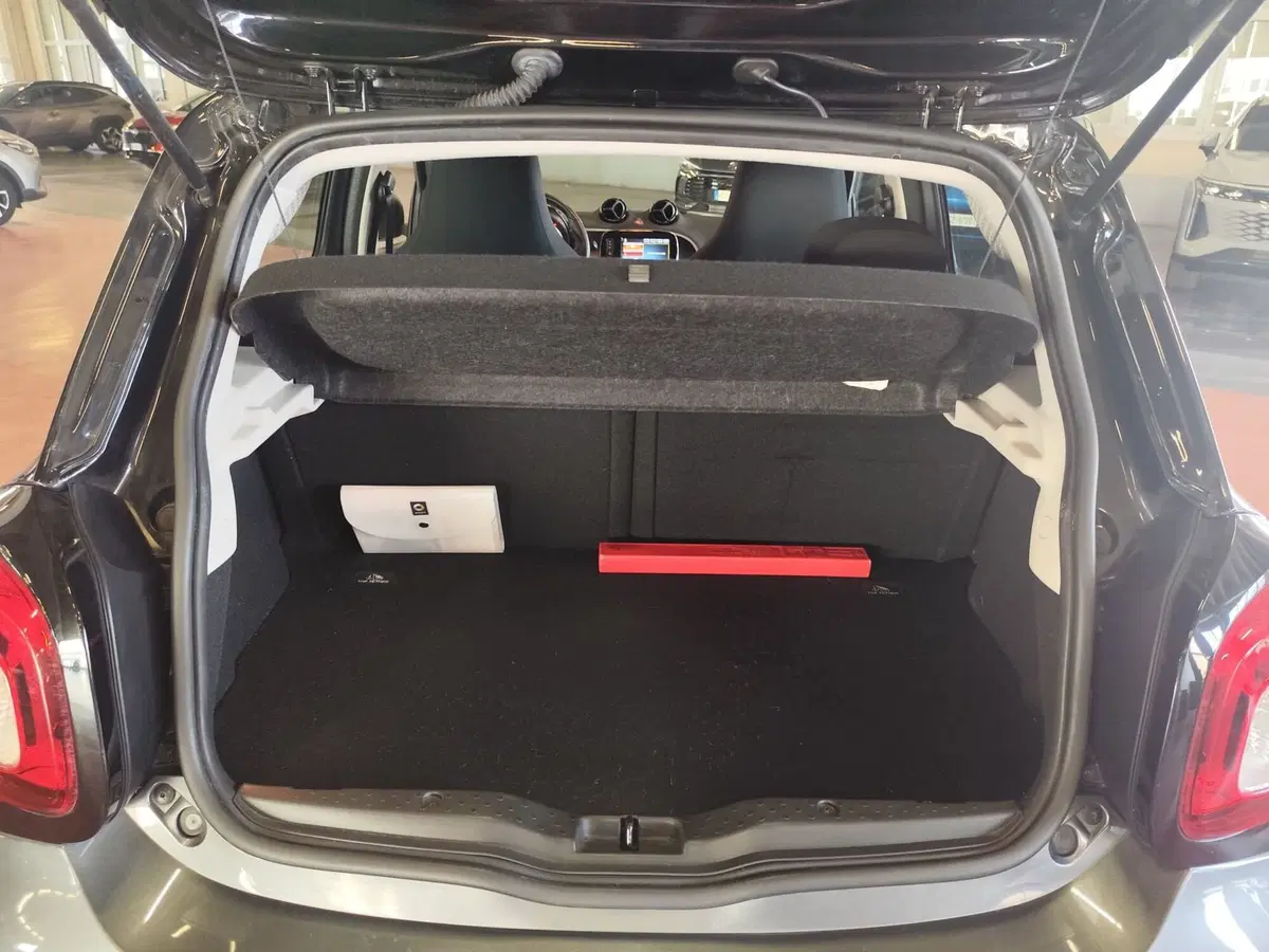 smart forfour usata a Milano (20)