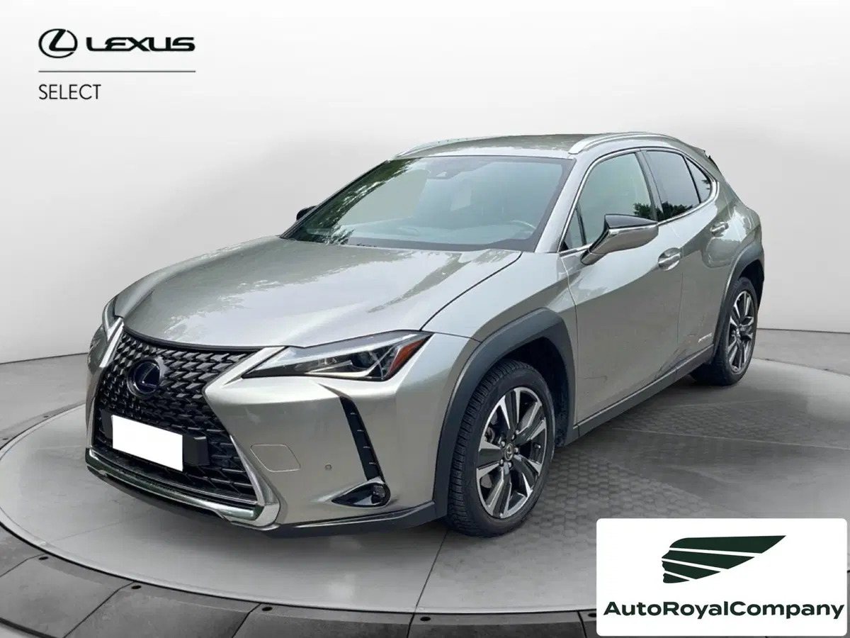 Lexus UX usata a Roma