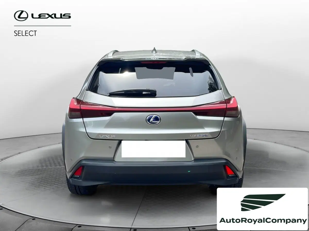 Lexus UX usata a Roma (5)