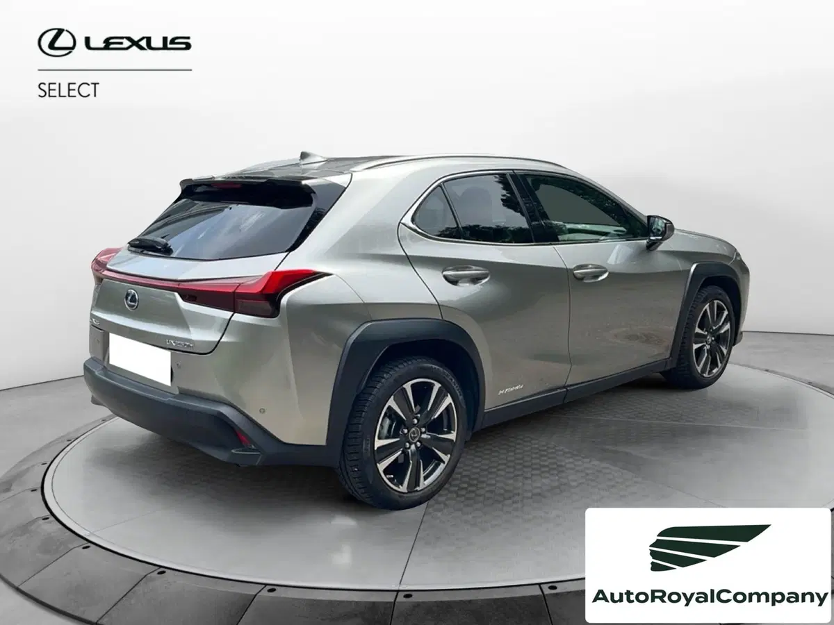 Lexus UX usata a Roma (6)