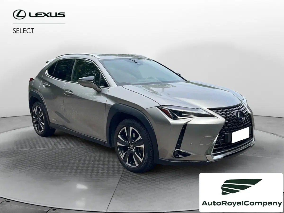 Lexus UX usata a Roma (8)