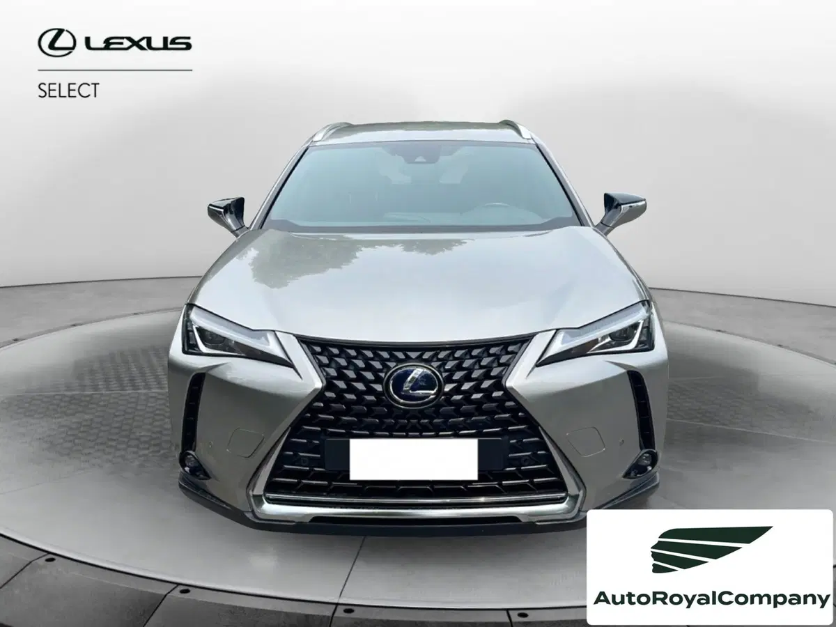 Lexus UX usata a Roma (9)