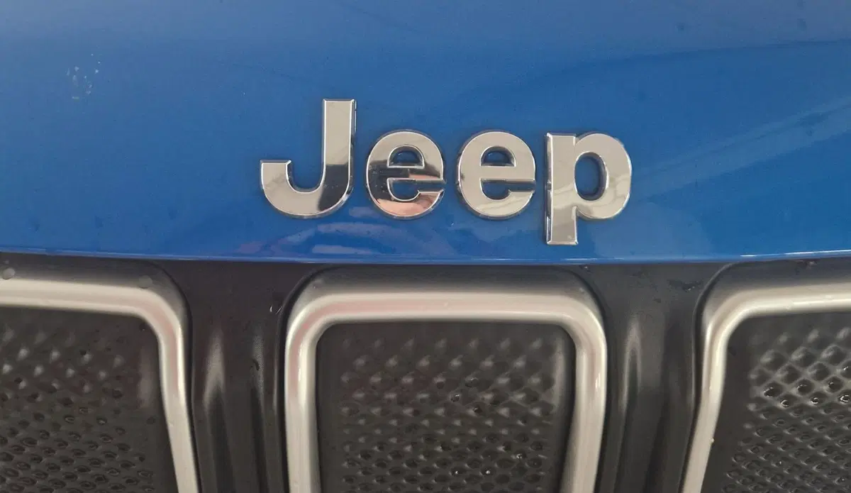 Jeep Compass usata a Terni (20)