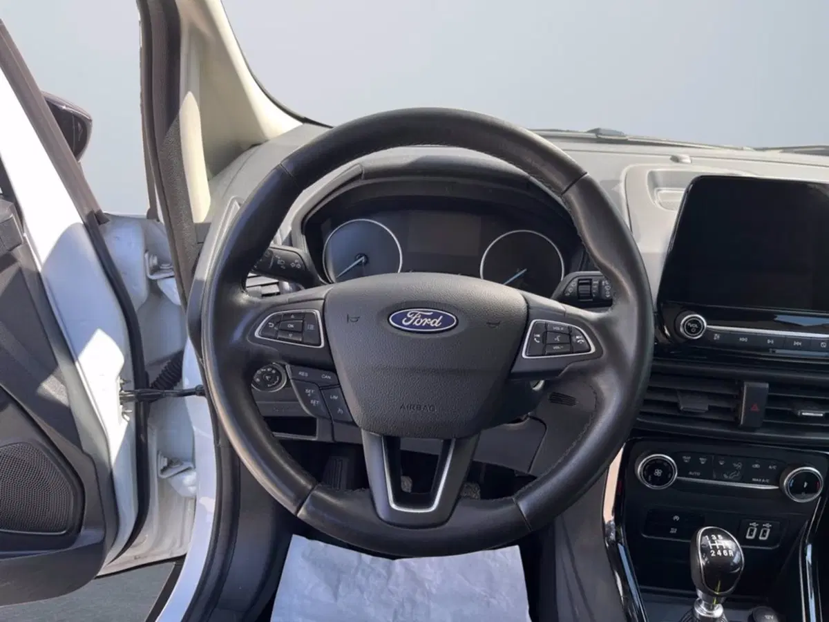 Ford EcoSport usata a Milano (14)