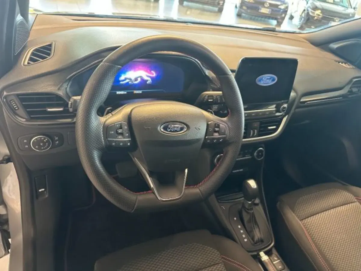 Ford Puma usata a Cuneo (10)