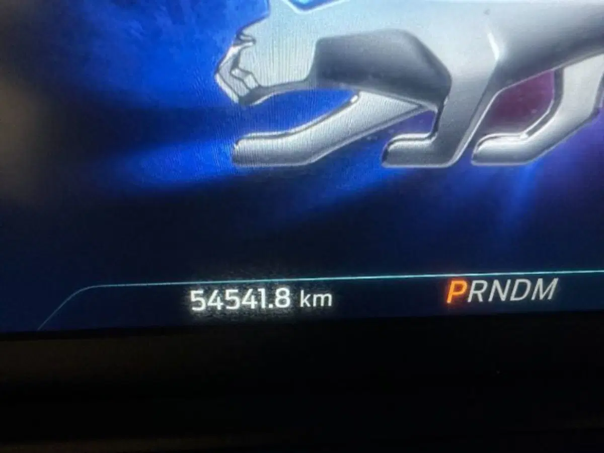 Ford Puma usata a Cuneo (17)