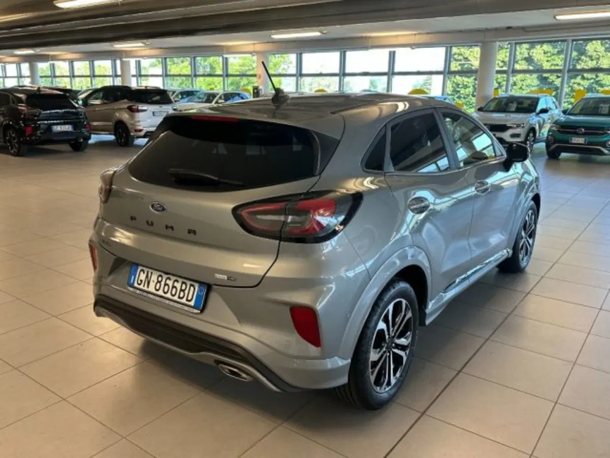 Ford Puma usata a Cuneo (7)