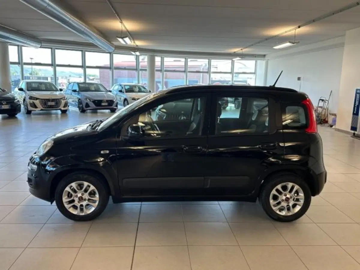 Fiat Panda usata a Cuneo (4)