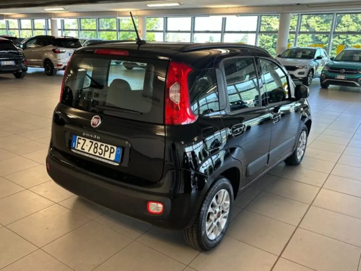 Fiat Panda usata a Cuneo (7)