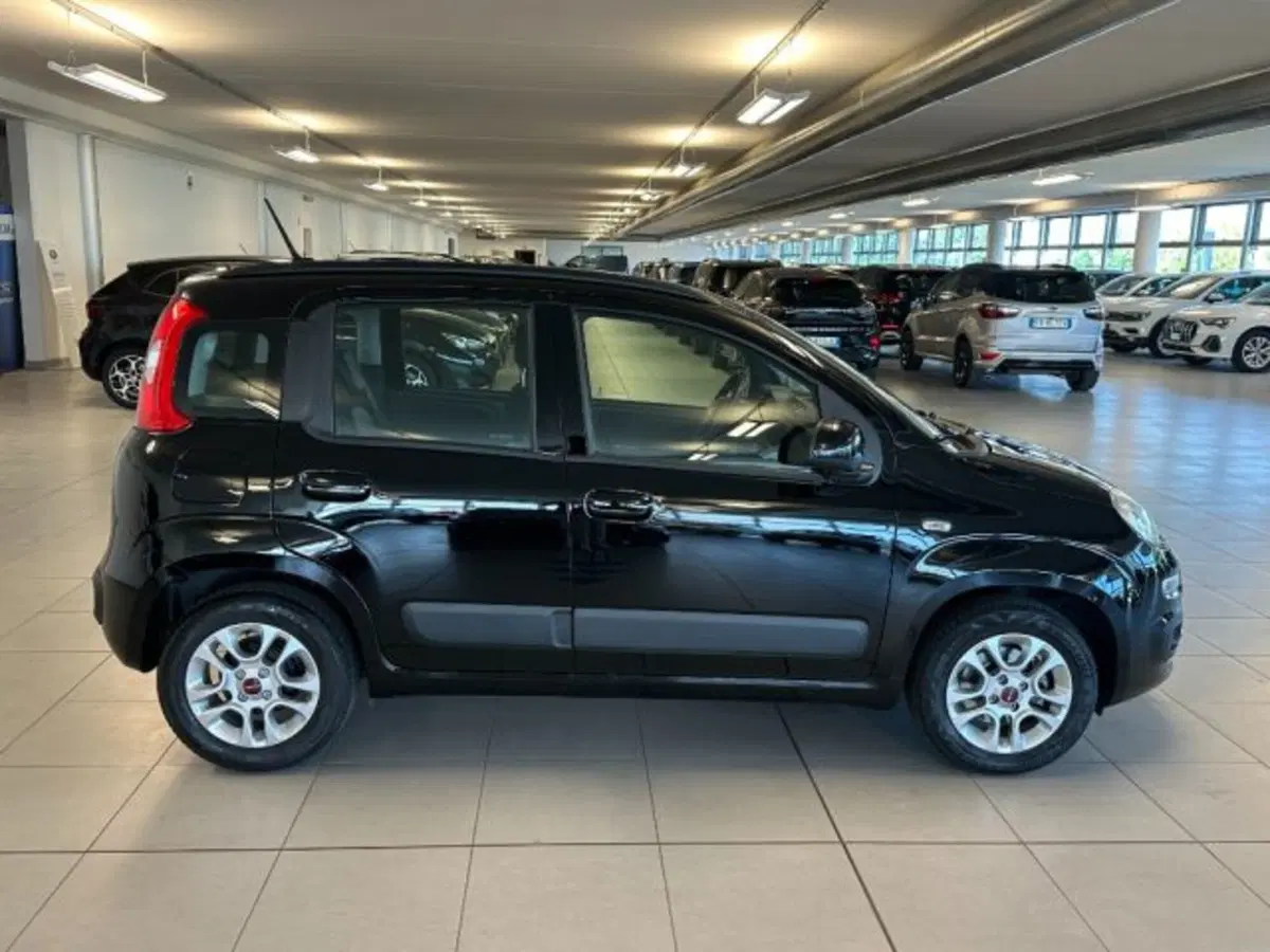 Fiat Panda usata a Cuneo (8)