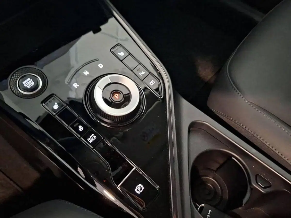 Kia Niro usata a Torino (10)