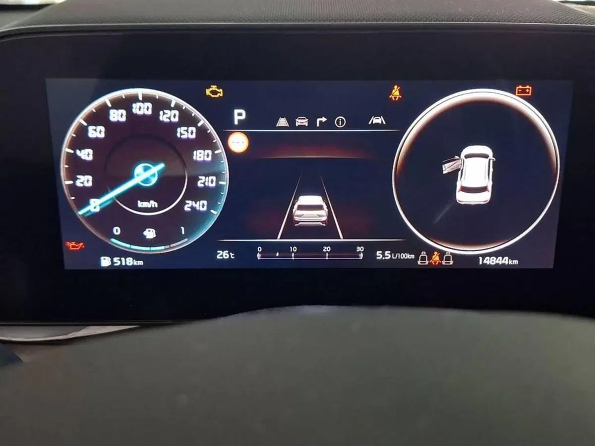 Kia Niro usata a Torino (8)