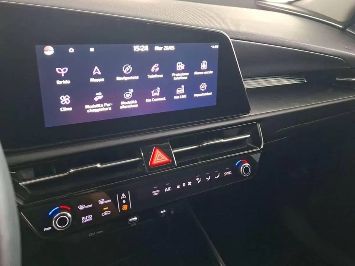 Kia Niro usata a Torino (9)