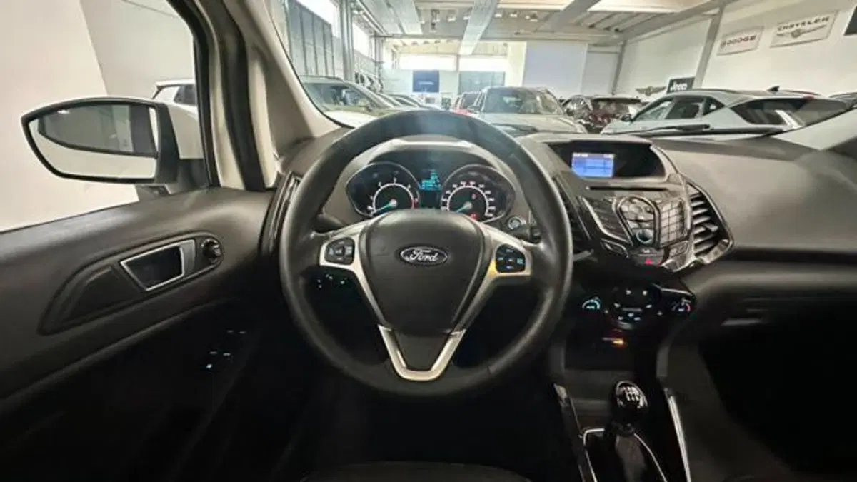 Ford EcoSport usata a Reggio Emilia (16)