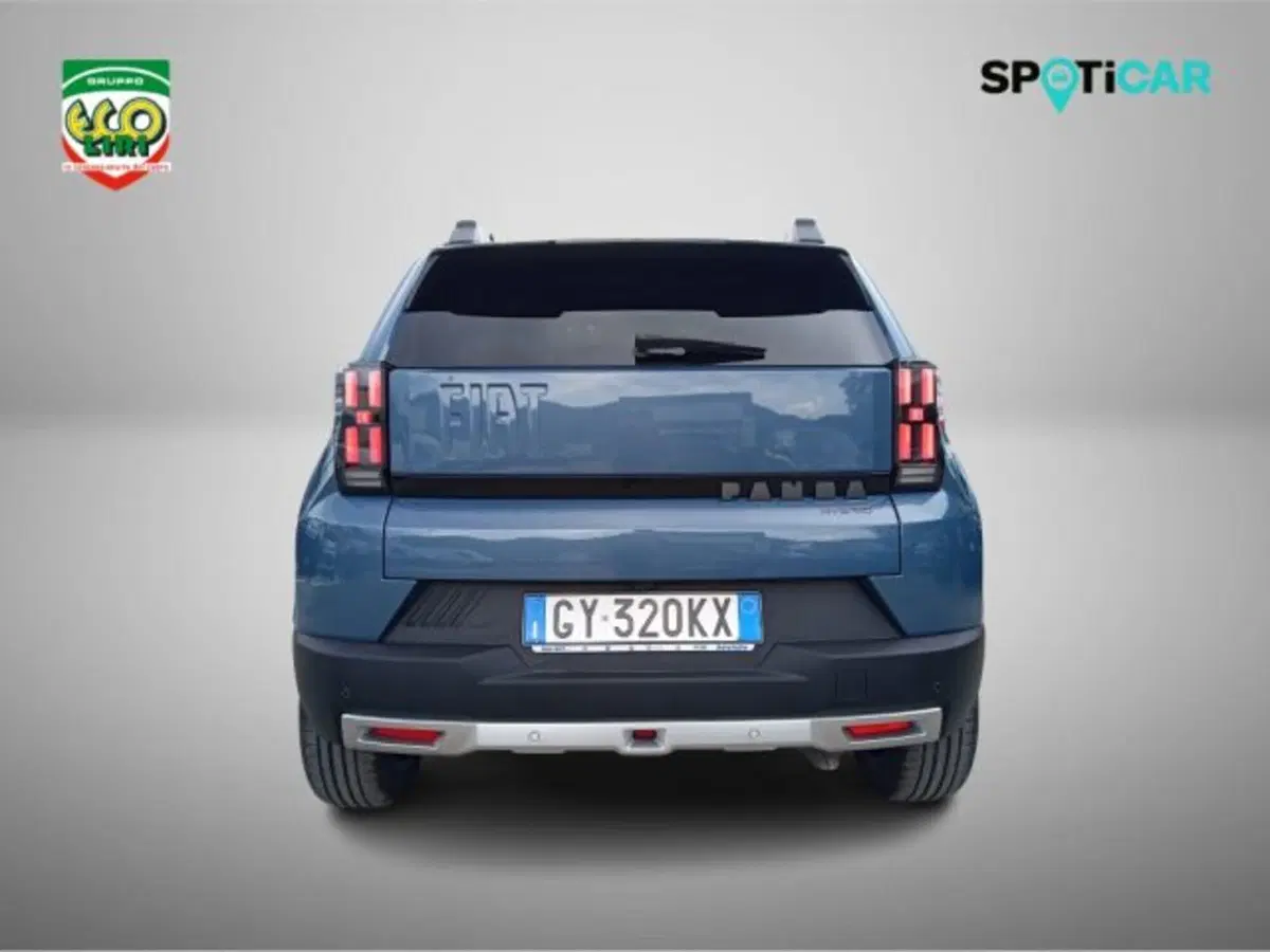 Fiat Grande Panda usata a Frosinone (5)