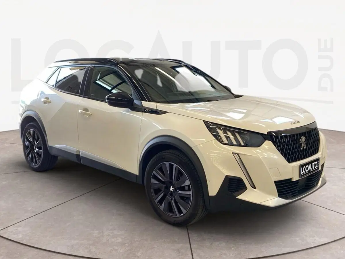 Peugeot 2008 usata a Torino (3)