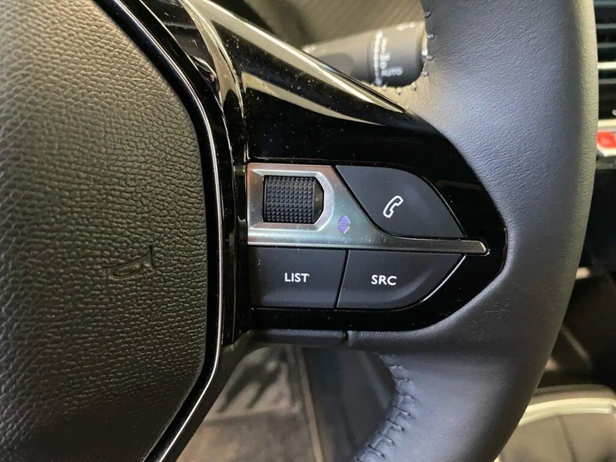 Peugeot 2008 usata a Torino (13)