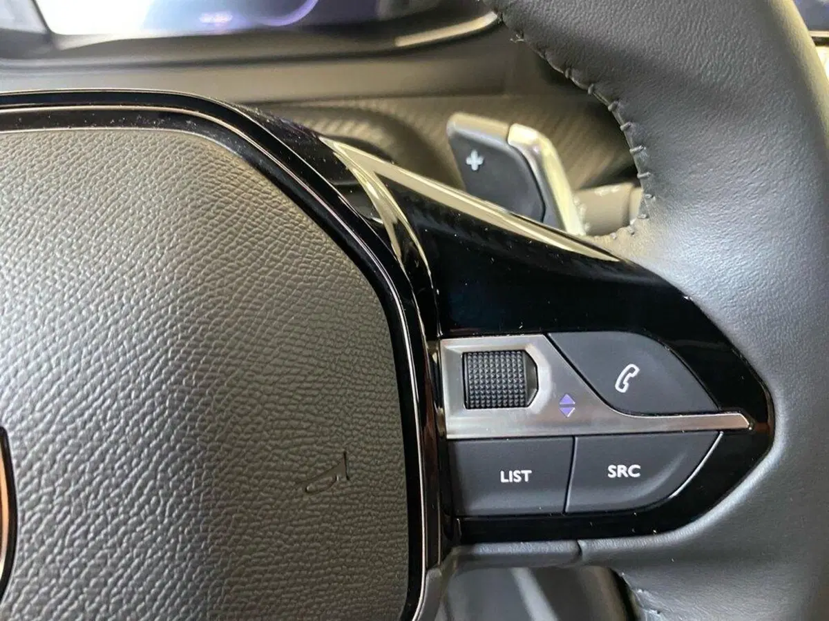 Peugeot 2008 usata a Torino (13)
