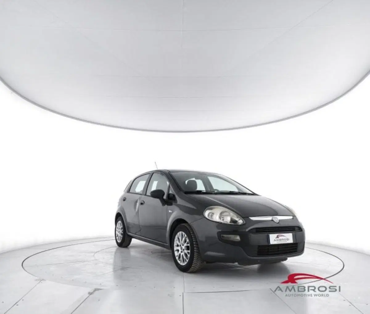 Fiat Punto Evo usata a Perugia (2)