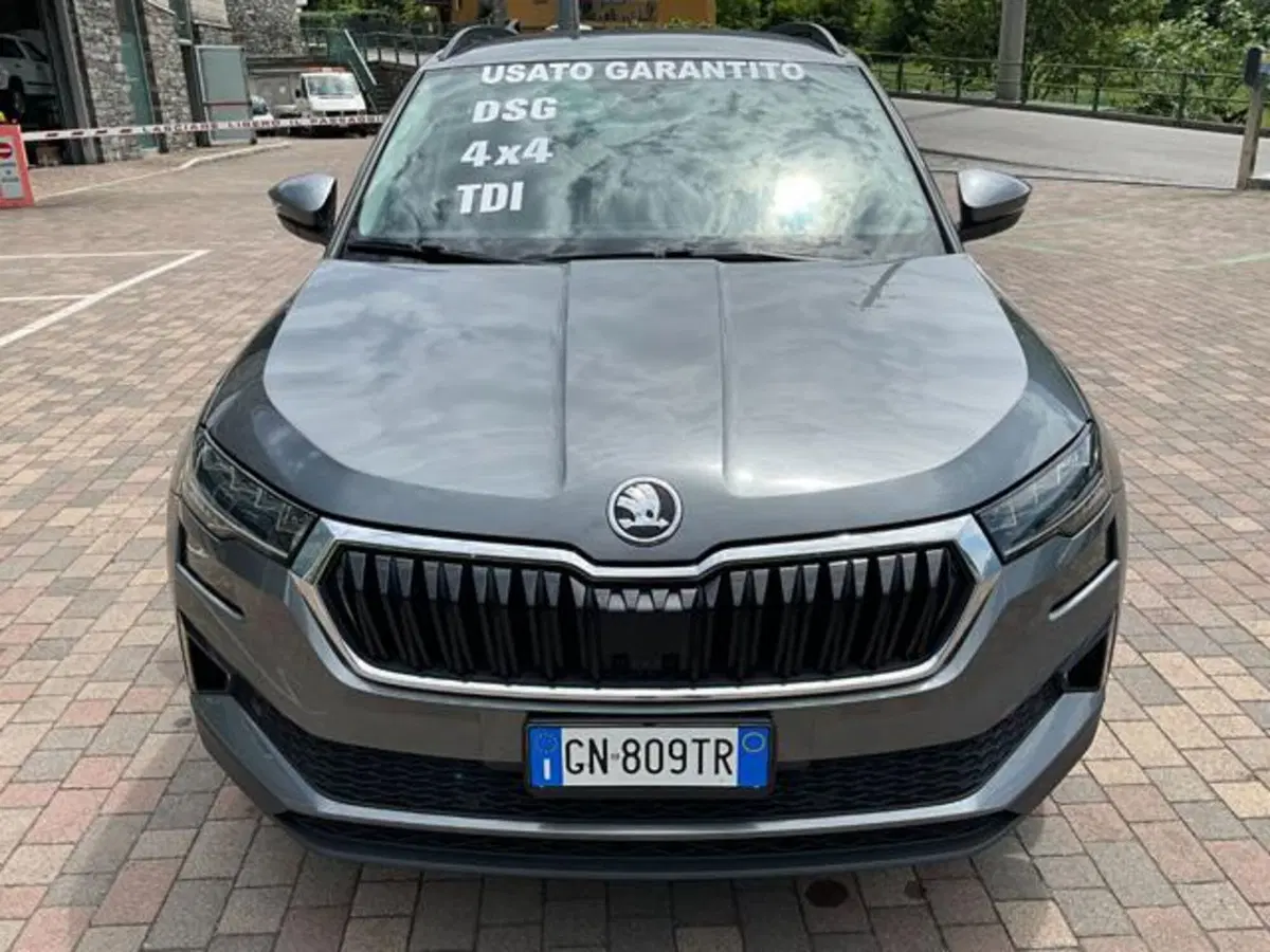 Skoda Karoq usata a Sondrio (2)