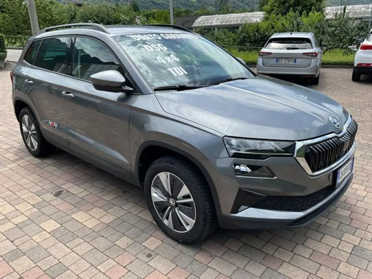 Skoda Karoq usata a Sondrio (3)