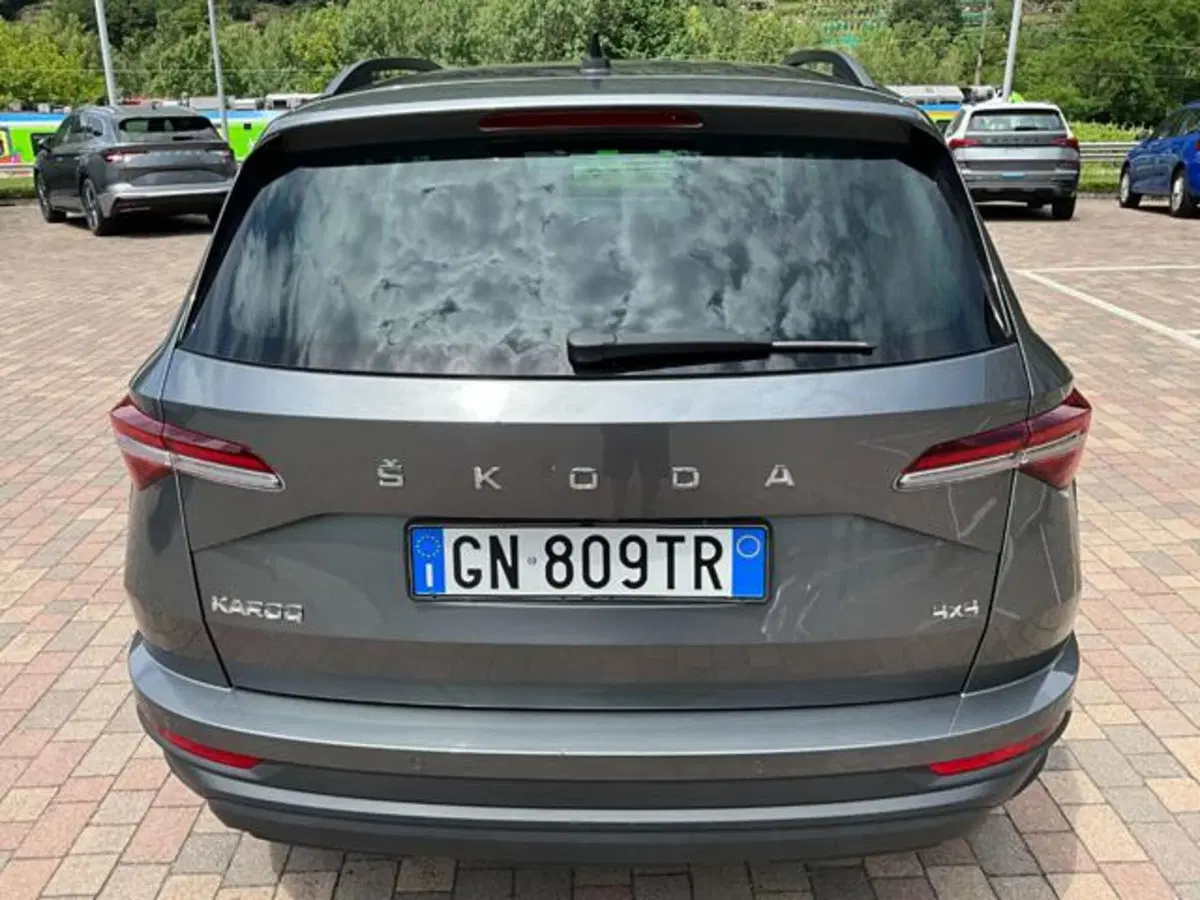 Skoda Karoq usata a Sondrio (8)