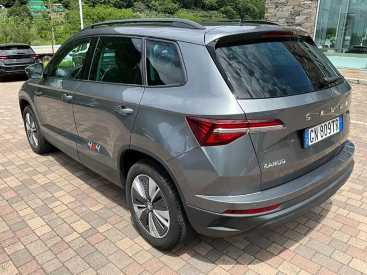 Skoda Karoq usata a Sondrio (9)