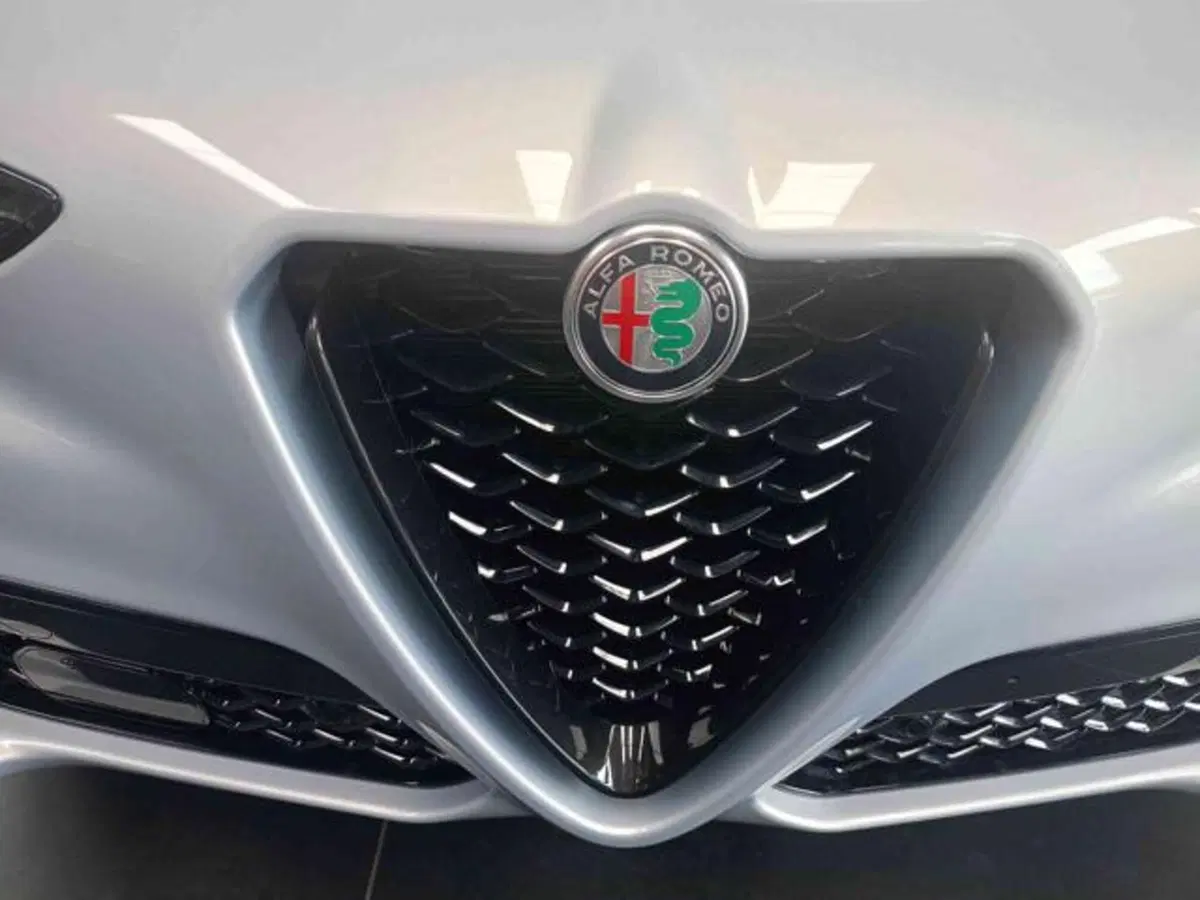 Alfa Romeo Stelvio nuova a Vercelli (15)
