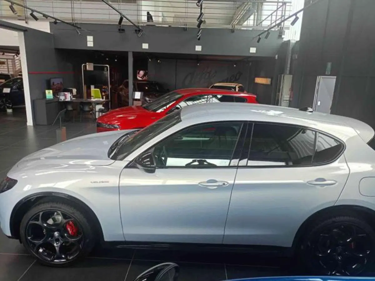 Alfa Romeo Stelvio nuova a Vercelli (6)