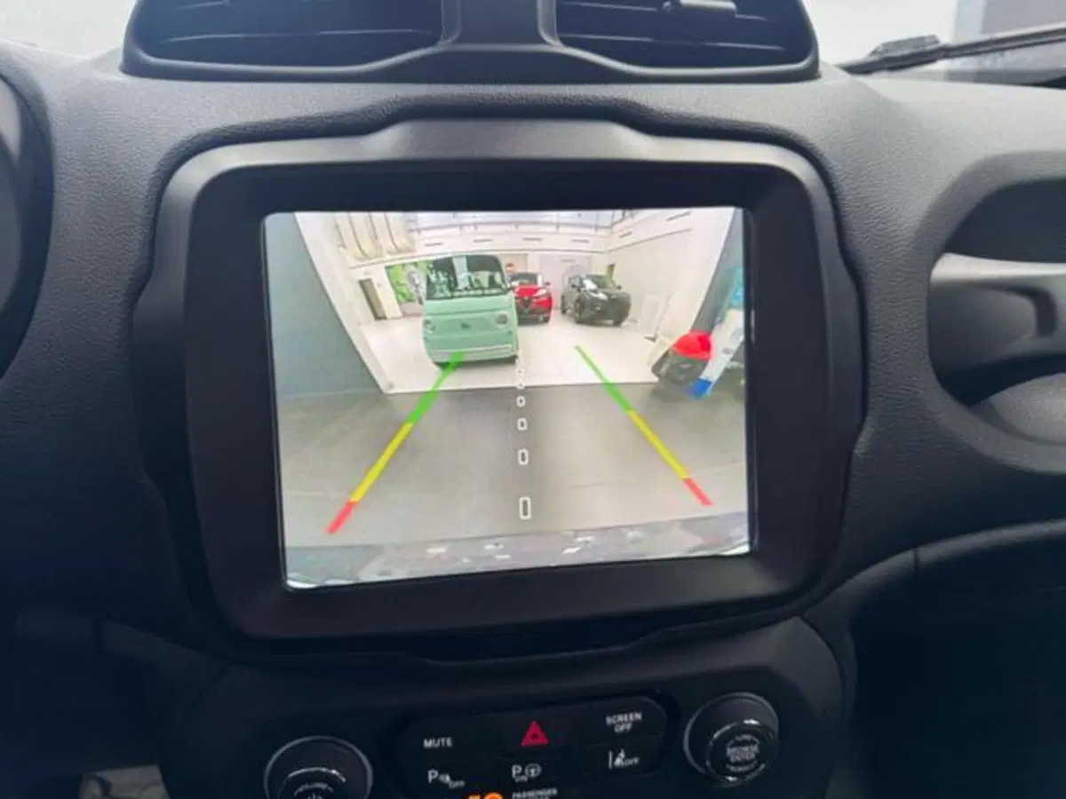 Jeep Renegade usata a Vercelli (13)