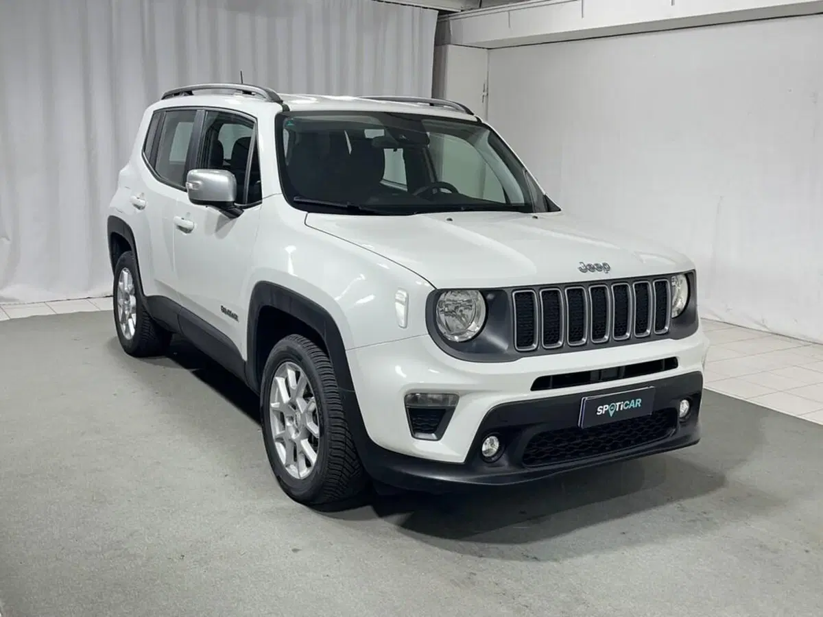 Jeep Renegade usata a Sondrio (7)