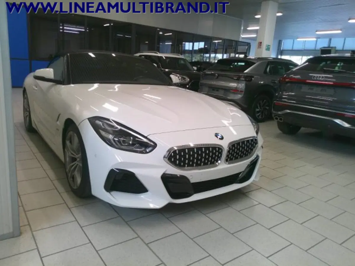 BMW Z4 Cabrio usata a Piacenza (10)