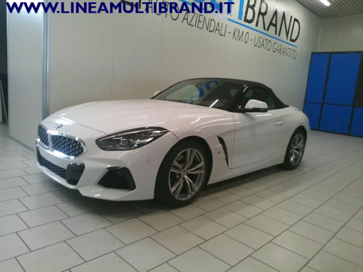 BMW Z4 Cabrio usata a Piacenza (11)