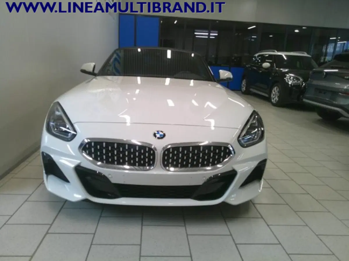 BMW Z4 Cabrio usata a Piacenza (2)