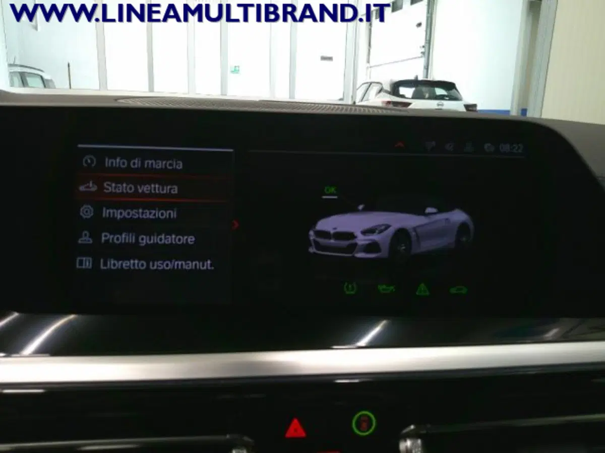BMW Z4 Cabrio usata a Piacenza (20)
