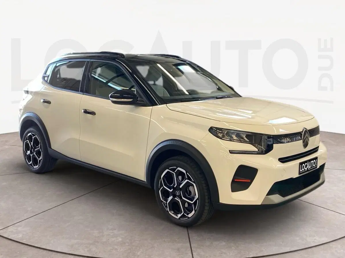 Citroen C3 usata a Torino (3)