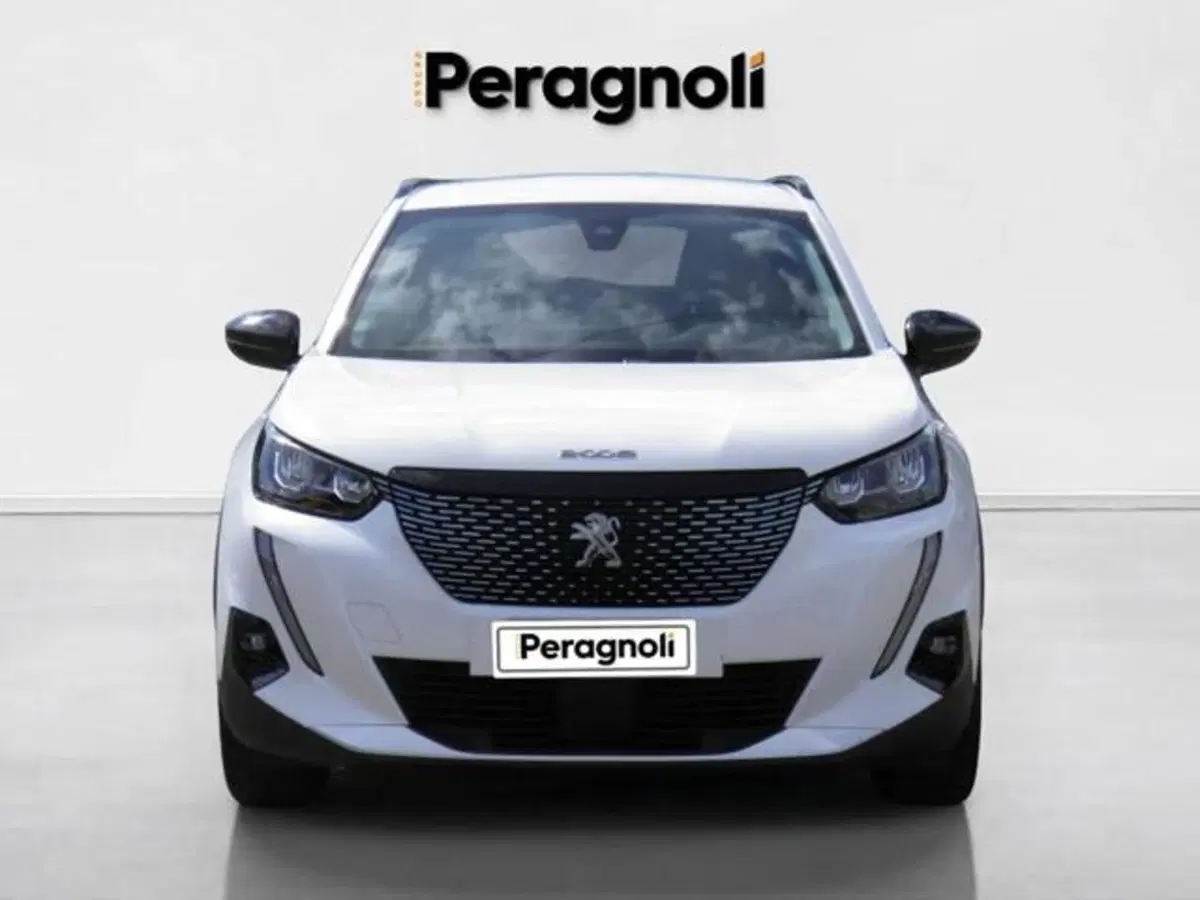 Peugeot 2008 usata a Firenze (10)