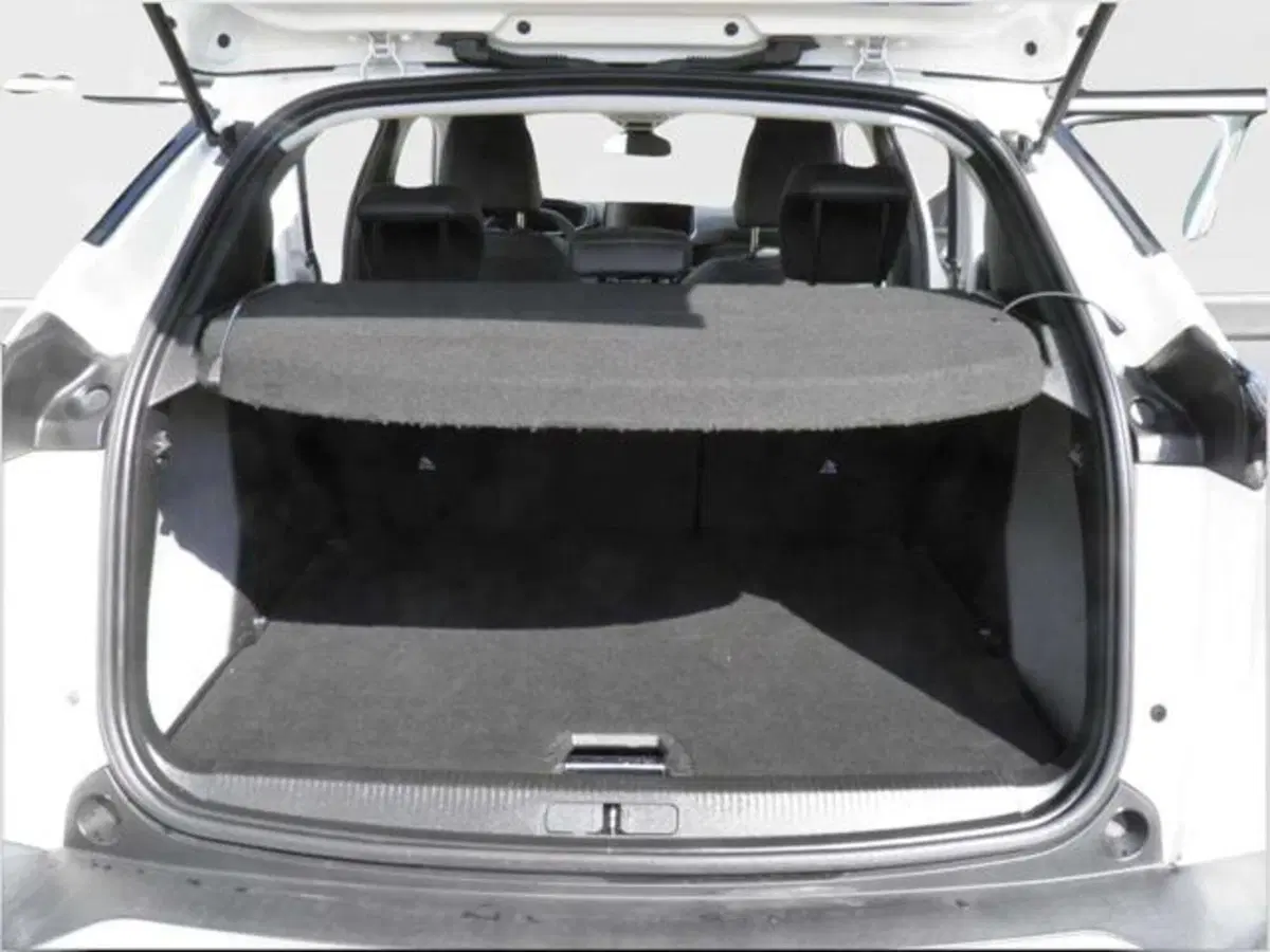 Peugeot 2008 usata a Firenze (16)
