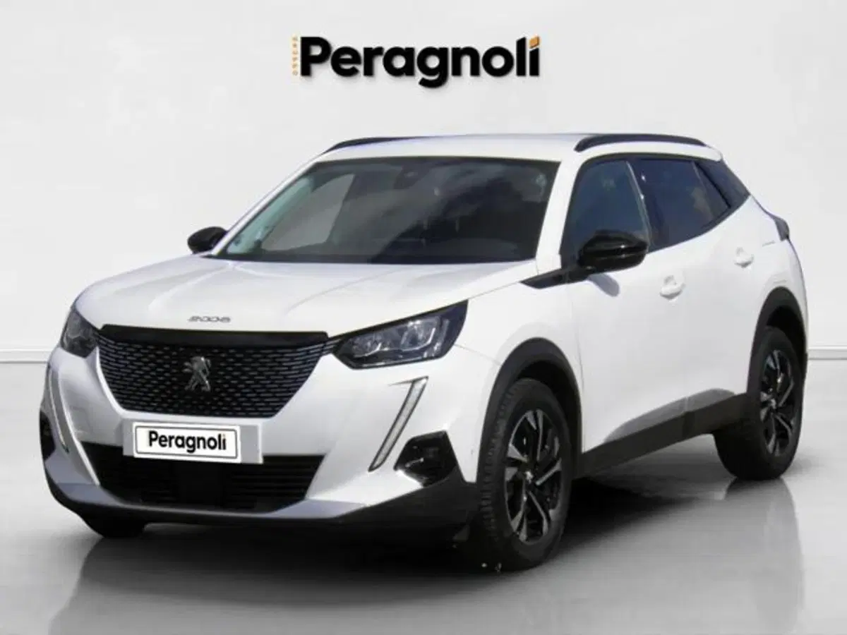 Peugeot 2008 usata a Firenze (2)
